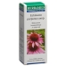 Echinacea Comp капли 50мл Echinacea Comp капли 50мл