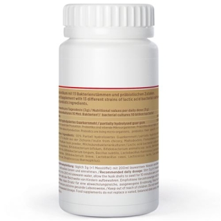 KINGN PROBIOTIC VIDA