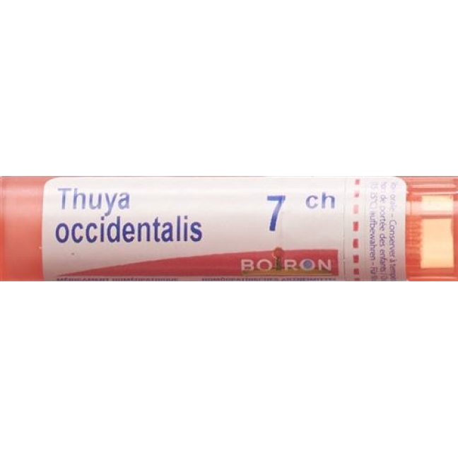 Boiron Thuya Occidentalis в гранулах C 7 4г Boiron Thuya Occidentalis в гранулах C 7 4г