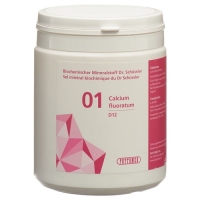 Phytomed Schussler Nr. 1 Calc Fluor в таблетках, D 12 500г