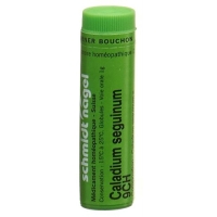 Sn Caladium Seguinum шарики Ch 9 1г