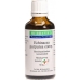 Echinacea Comp капли 50мл Echinacea Comp капли 50мл