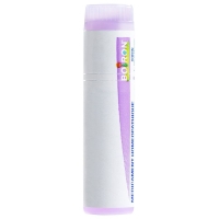 BOIRON muriaticum acidum Glob CH 30