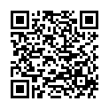 QR HARA SUPERFENSTERPUTZER 32