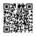 QR IDEAL ALLES IN EINEM SCHOKO