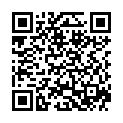 QR Burgerstein ImmunVital Saft 20 пакетиков
