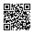 QR HARA BRILLANT POLIERTUCH 2