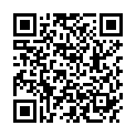 QR RZ BODENFLECKENLOESER