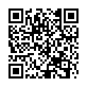 QR DV STEVEN LESEBR SCHWARZ 3.0