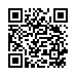 QR FEINSTOFF BIO MORINGA