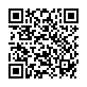 QR BZ KOPFBUER BUCHENH SCH HOLZST