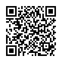 QR NIPRO 1XKA 0.4X13MM27GX1/2GRAU