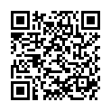 QR BLOX DISPLAY GROSS LEER