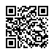 QR Лидазон Малина 24 пастилки