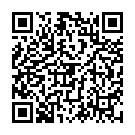 QR Аппликатор ЭНДОХОЛДЕР 0