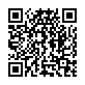 QR Vitaflo Glycosade Pulver 30 Beutel 60g