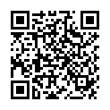 QR Боксерские мешки Morga с яблоками 50 шт.