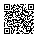 QR Starwax Reiniger Kupfer Messing Bronze Flasche 250ml