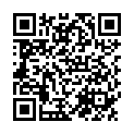 QR SN Zincum Metallicum Glob MK 1 г