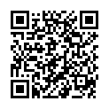 QR BORT StabiloGen Eco 7 mit Haftband silber