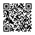 QR PHYTOMED Knospenextrakt Schwar Holunder