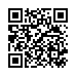 QR BORT SellaTex XS links grau