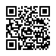 QR Herba Haarburste Olivenholz